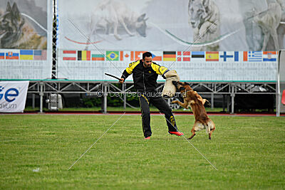 Spitting Fire's Carbono