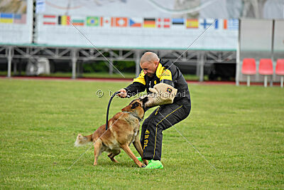 Spitting Fire's Carbono