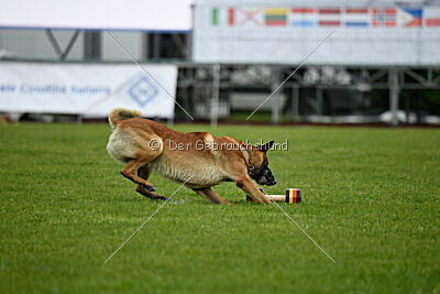 Spitting Fire's Carbono