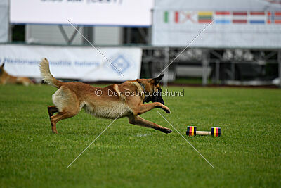 Spitting Fire's Carbono