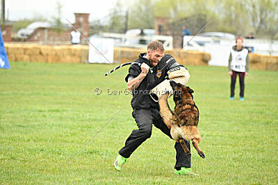 Storm Marinchuk K-9
