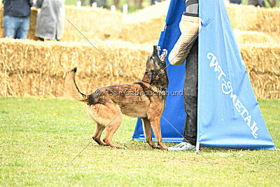 Storm Marinchuk K-9