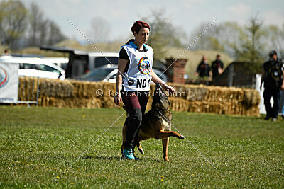 Storm Marinchuk K-9