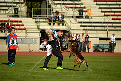 Storm Marinchuk K-9