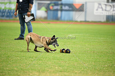 Stylish Motion's Apple