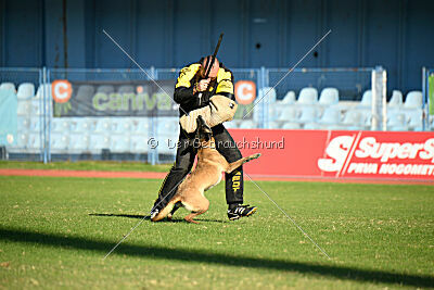 Stylish Motion's Apple