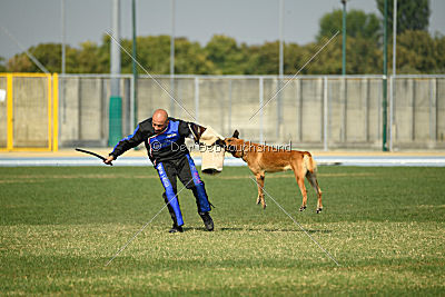 Suhteellisen Kaistapaa