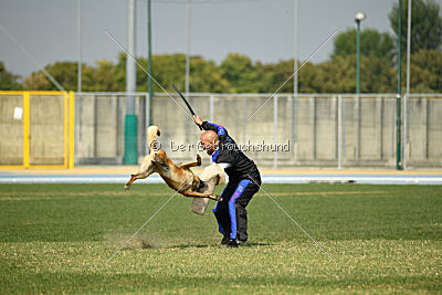 Suhteellisen Kaistapaa