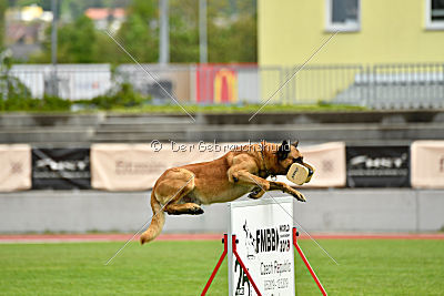 Suhteellisen Kaistapaa