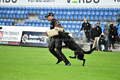 T-Lothar vom Hause Meraner