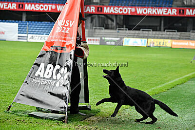 T-Lothar vom Hause Meraner