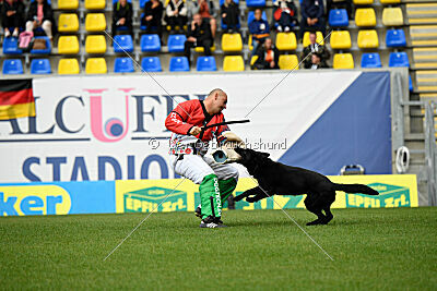 T-Lothar vom Hause Meraner