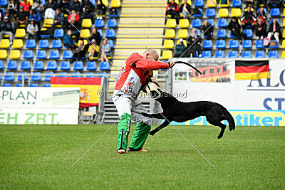T-Lothar vom Hause Meraner