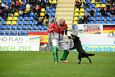 T-Lothar vom Hause Meraner