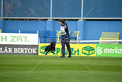 T-Lothar vom Hause Meraner