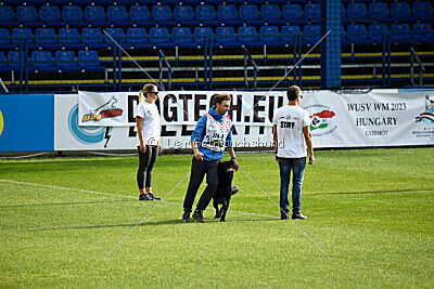 T-Lothar vom Hause Meraner