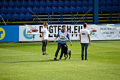 T-Lothar vom Hause Meraner