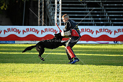 T-Lothar vom Hause Meraner