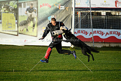 T-Lothar vom Hause Meraner