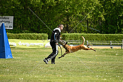 Tabasco vom Holzhäuser Flur