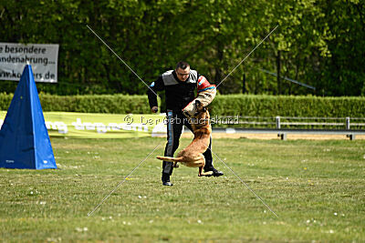 Tabasco vom Holzhäuser Flur