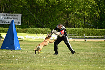 Tabasco vom Holzhäuser Flur