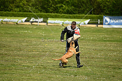 Tabasco vom Holzhäuser Flur