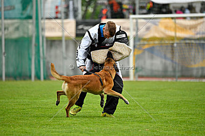 Tämä on Gentlemanni