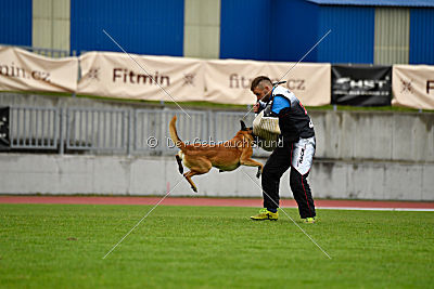 Tämä on Gentlemanni