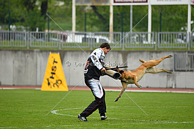 Tämä on Gentlemanni