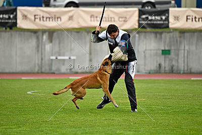 Tämä on Gentlemanni