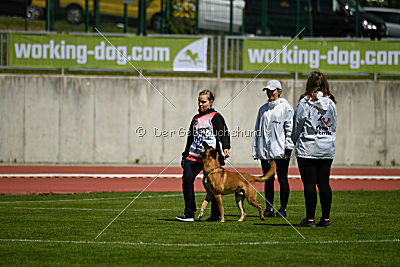 Tämä on Gentlemanni