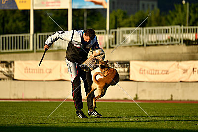 Tämä on Ihmeellinen