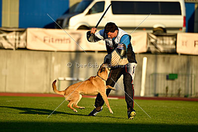 Tämä on Ihmeellinen