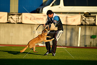 Tämä on Ihmeellinen