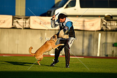 Tämä on Ihmeellinen