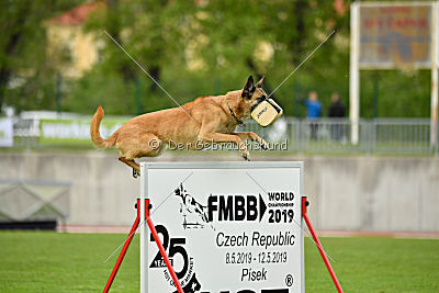 Tämä on Ihmeellinen