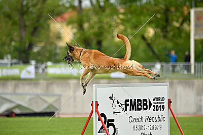 Tämä on Ihmeellinen