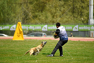Tämä on Ihmeellinen