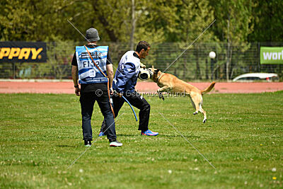 Tämä on Ihmeellinen