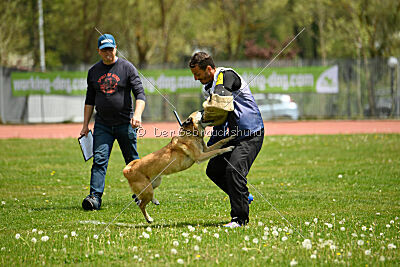 Tämä on Ihmeellinen