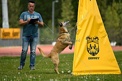 Tämä on Ihmeellinen