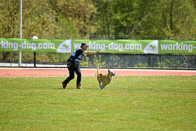 Tämä on Ihmeellinen