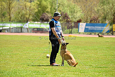 Tämä on Ihmeellinen