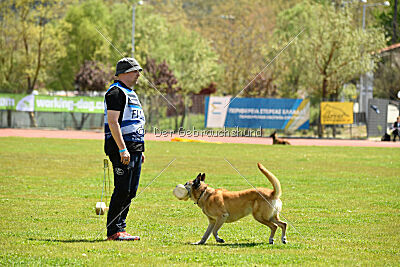 Tämä on Ihmeellinen