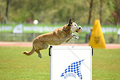 Tämä on Ihmeellinen