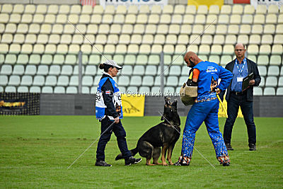 Tagzvondeni Branden