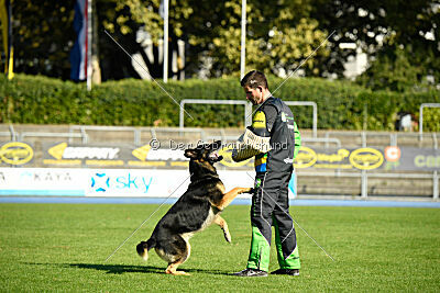 Tango aus dem Wesen Zwinger