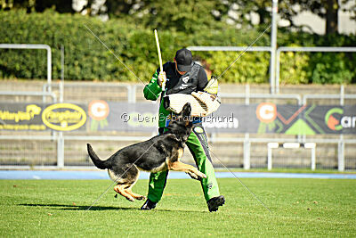 Tango aus dem Wesen Zwinger