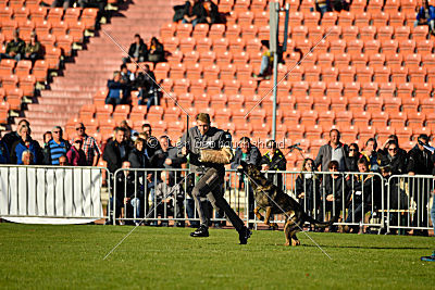 Taro vom bösen Bruderblick